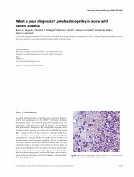 Research paper thumbnail of What is your diagnosis ? Lymphadenopathy in a cow with severe anemia