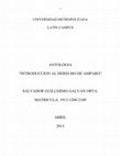 Research paper thumbnail of INTRODUCCION AL DERECHO DE AMPARO