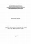 Research paper thumbnail of Bruna Braga Veloso tcc2