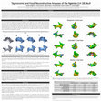 Research paper thumbnail of Taphonomic and Fossil Reconstructive Analyses of the Ngaloba (LH 18) Skull