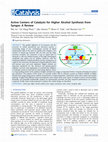 Research paper thumbnail of Active centers of catalysts for higher alcohol synthesis from syngas: A review