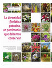 Research paper thumbnail of La diversidad florística potosina, un patrimonio que debemos conservar