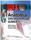 Research paper thumbnail of ANATOMÍA MOORE.6ed