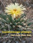 Research paper thumbnail of Leuchtenbergia principis The Odd One Out