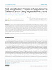 Research paper thumbnail of Fast Densification Process in Manufacturing Carbon/Carbon Using Vegetable Precursors