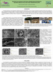 Research paper thumbnail of REGISTRO DE POSSÍVEIS ESTRUTURAS SEDIMENTARES MICROBIANAS INDUZIDAS (MISS) NO SALTO SÃO JOÃO, PRUDENTÓPOLIS (PR), Dorneles, V.A.C. & Parellada, C.I. 2018