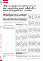 Research paper thumbnail of Angiostrongylus vasorum infection in dogs : continuing spread and developments in diagnosis and treatment