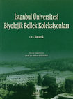 Research paper thumbnail of Ord. Prof. Dr. Alfred Heilbronn (1885-1961) ve Ord. Prof. Dr. Leo Brauner’in (1898-1974) Lantern Slayt Koleksiyonu