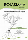 Research paper thumbnail of Plantas Acuáticas y Palustres del Paraguay Bryophyta Pteridophyta Angiospermae Monocotyledoneae