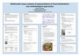 Research paper thumbnail of Multimodal corpus analysis of representation of travel destinations: Two methodological approaches