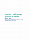 Research paper thumbnail of Consulta a adolescentes privados de libertad