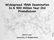 Research paper thumbnail of Widespread tRNA Deamination In A 900 Million Year Old Premetazoan