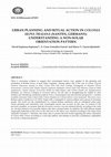 Research paper thumbnail of D. ESPINOSA ESPINOSA, A. C. GONZÁLEZ GARCÍA and M. V. GARCÍA QUINTELA (2018): "Urban Planning and Ritual Action in Colonia Ulpia Traiana (Xanten, Germany): Understanding a Non-Solar Orientation Pattern", Mediterranean Archaeology and Archaeometry 18/4, pp. 25-32.