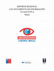 Research paper thumbnail of Reporte regional de levantamiento de información cualitativa