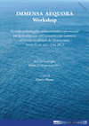 Research paper thumbnail of IMMENSA_AEQUORA_Workshop.pdf