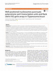 Research paper thumbnail of Well-positioned nucleosomes punctuate polycistronic pol II transcription units and flank silent VSG gene arrays in Trypanosoma brucei.pdf