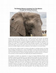 Research paper thumbnail of The Elephant Memory! Increasing Your Own Memory Through Gut Feeling Awareness