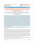 Research paper thumbnail of Probiotic (ROEMIN W2) Improved Growth Performance and Intestinal Histomorphological Structure in Broilers Challenged With E.Coli