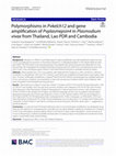 Research paper thumbnail of Polymorphisms in Pvkelch12 and gene amplification of Pvplasmepsin4 in Plasmodium vivax from Thailand, Lao PDR and Cambodia