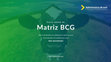 Research paper thumbnail of Matriz BCG