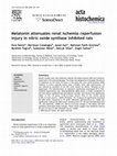 Research paper thumbnail of Melatonin attenuates renal ischemia-reperfusion injury in nitric oxide synthase inhibited rats