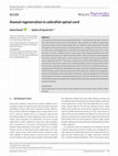 Research paper thumbnail of R E V I E W Axonal regeneration in zebrafish spinal cord