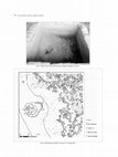 Research paper thumbnail of THE THIRD ARCHAEOLOGICAL INVESTIGATION AT TANG-E ESHIKAN CAVE, ARSANJAN, FARS- 2012