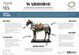 Research paper thumbnail of PZAF 2019 Poster : WARHORSE - A MEDIEVAL REVOLUTION?