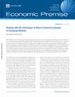 Research paper thumbnail of Dealing with the Challenges of Macro Financial Linkages in Emerging Markets