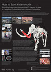 Research paper thumbnail of How to Scan a Mammoth. Recording, analyzing and presenting CT scanned 3D data of a lateglacial Proboscidean from Rotkreuz, Switzerland