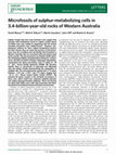 Research paper thumbnail of Microfossils of sulphur-metabolizing cells in 3.4-billion-year-old rocks of Western Australia