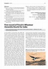 Research paper thumbnail of First record of Finsch's Wheatear Oenanthe Finschii for India