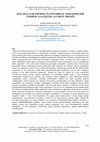 Research paper thumbnail of KOCAELİ/ KARAMÜRSEL İLÇESİ KIRSAL YERLEŞMELERİ ÜZERİNE ANALİZLER: AVCIKÖY ÖRNEĞİ/ANALYSIS ON RURAL SETTLEMENTS IN KOCAELİ /
KARAMÜRSEL: THE CASE OF AVCIKÖY