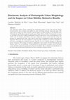 Research paper thumbnail of Diachronic Analysis of Florianópolis Urban Morphology and the Impact on Urban Mobility Related to Brasília