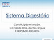 Research paper thumbnail of Sistema Digestório