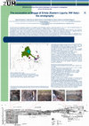 Research paper thumbnail of THE EXCAVATION AT MOGGE DI ERTOLA (EASTERN LIGURIA, NW ITALY): THE STRATIGRAPHY