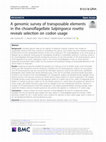 Research paper thumbnail of A genomic survey of transposable elements in the choanoflagellate Salpingoeca rosetta reveals selection on codon usage