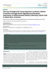 Research paper thumbnail of The Use of Single-Cell Transcriptomics' to Detect Cellular Transition through Notch Signaling and Receptor Expression in Differentiated Kidney Collecting Tubule Cells in Adult Mice: A Review