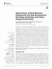 Research paper thumbnail of Hybrid Areas of Work Between Employment and Self-Employment: Emerging Challenges and Future Research Directions.