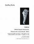 Research paper thumbnail of White-Capped Mollymawk, Thalassarche cauta (Gould, 1841)/ Toroa. Card model of skull, 1:1 scale.