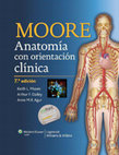 Research paper thumbnail of Moore Anatomia con orientacion clinica-7 ED