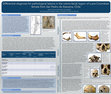 Research paper thumbnail of Differential diagnosis for pathological lesions in the Cranio-facial region of a pre-Columbian female from San Pedro de Atacama, Chile