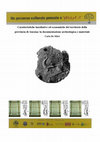 Research paper thumbnail of Caratteristiche insediative ed economiche del territorio della provincia di Ancona: la documentazione archeologica e materiale