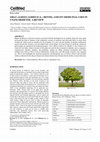 Research paper thumbnail of SIRAS (ALBIZIA LEBBECK (L.) BENTH.) AND ITS MEDICINAL USES IN UNANI MEDICINE-A REVIEW