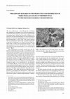 Research paper thumbnail of Preliminary remarks on production and distribution of Terra sigillata excisa in Northern Italy. New data from recent excavations at Calvatone-Bedriacum