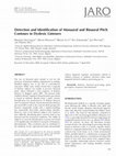 Research paper thumbnail of Detection and identification of monaural and binaural pitch contours in dyslexic listeners