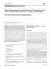 Research paper thumbnail of Micro-photogrammetric and morphometric differentiation of cut marks on bones using metal knives, quartzite, and flint flakes