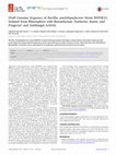 Research paper thumbnail of Draft Genome Sequence of Bacillus amyloliquefaciens Strain RHNK22, Isolated from Rhizosphere with Biosurfactant (Surfactin, Iturin, and Fengycin) and Antifungal Activity