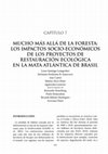 Research paper thumbnail of Mucho más allá de la foresta: los impactos socio-económicos de los proyectos de restauración ecológica en la Mata Atlántica de Brasil