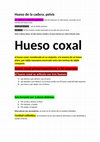 Research paper thumbnail of Hueso de la cadera, pelvis